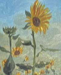 Tournesol